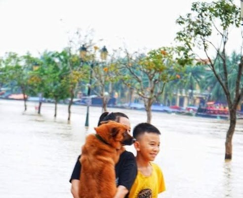 Hội An:  Thành phố đầu tiên của Việt Nam cam kết không tiêu thụ thịt chó, mèo - Anh 1