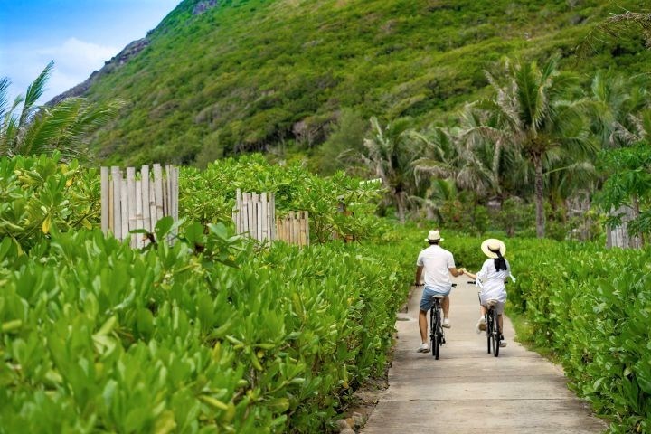 Côn Đảo trên hành trình trở thành đô thị du lịch - Anh 5