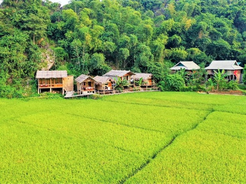 Du lịch nông thôn góp phần đa dạng hóa sản phẩm và đón đầu xu thế mới - Anh 3
