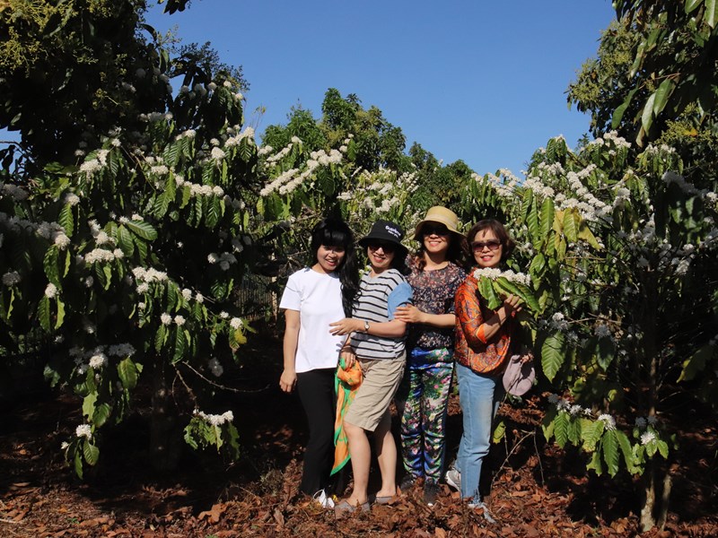 Du lịch Việt Nam-Những việc cần làm để tăng tốc - Anh 5
