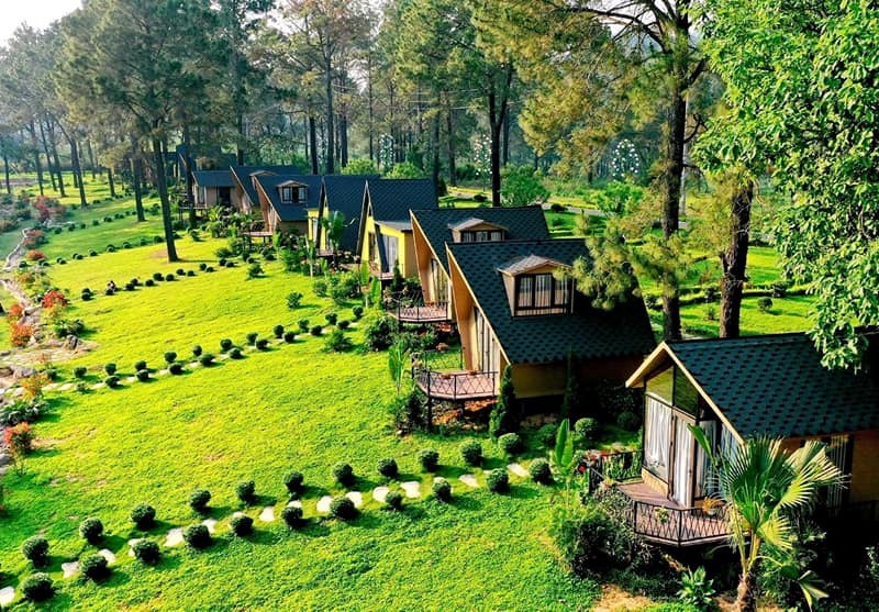 Liên kết, hợp tác chặt chẽ để phát triển du lịch trở thành ngành kinh tế mũi nhọn - Anh 4