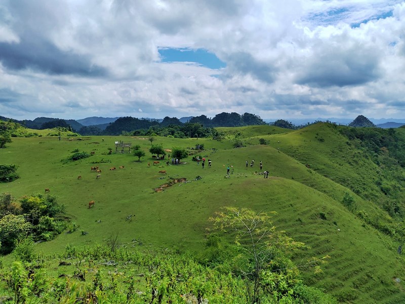 Hé lộ 