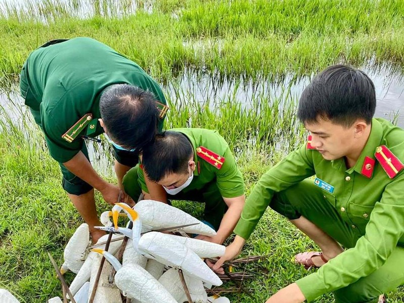 Quảng Bình: Tiêu hủy hàng ngàn dụng cụ bẫy chim, cò trên đồng ruộng - Anh 5