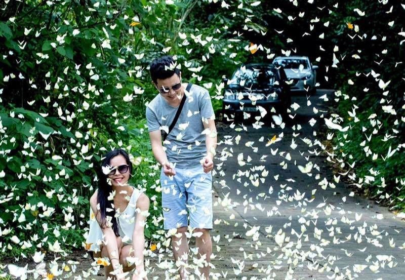 Cúc Phương là Vườn quốc gia hàng đầu châu Á năm 2021 - Anh 1