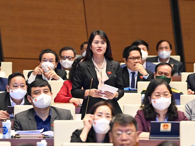 Kiểm soát dịch Covid-19 hiệu quả, huy động mọi nguồn lực phục hồi, phát triển KT-XH - Anh 6