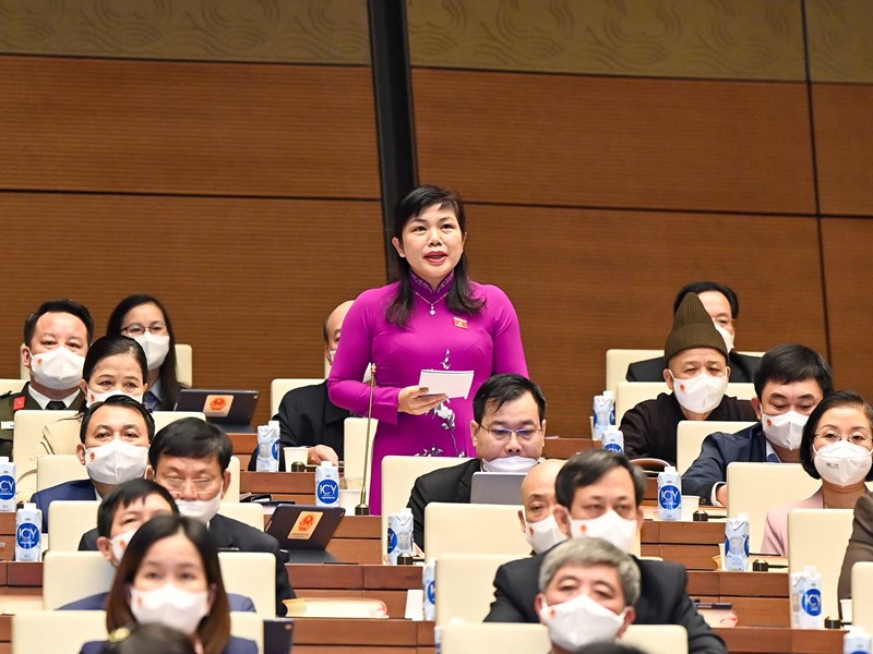 Kiểm soát dịch Covid-19 hiệu quả, huy động mọi nguồn lực phục hồi, phát triển KT-XH - Anh 4