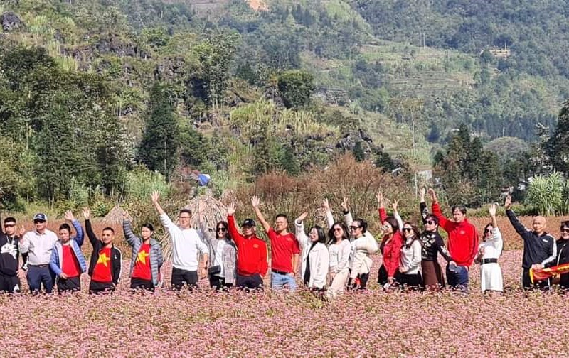 50 vận động viên tham gia 