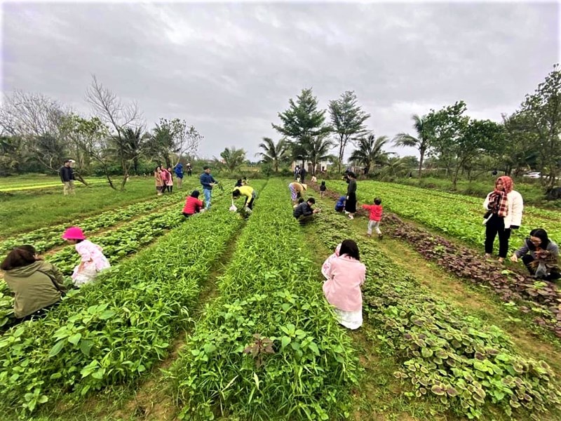 Đề xuất khung cơ chế chính sách chung thúc đẩy du lịch nông thôn phát triển - Anh 5