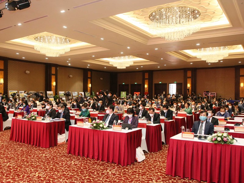 Cấp bách cứu ngành Du lịch đang 