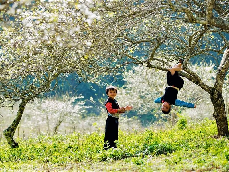 Du lịch Sơn La thích ứng an toàn trong bối cảnh bình thường mới - Anh 1