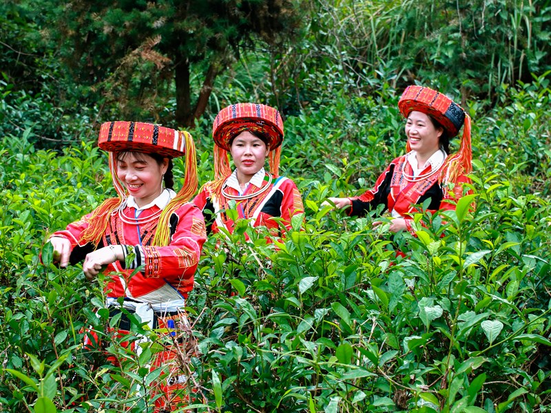 Rực rỡ trang phục phụ nữ Pà Thẻn - Anh 1