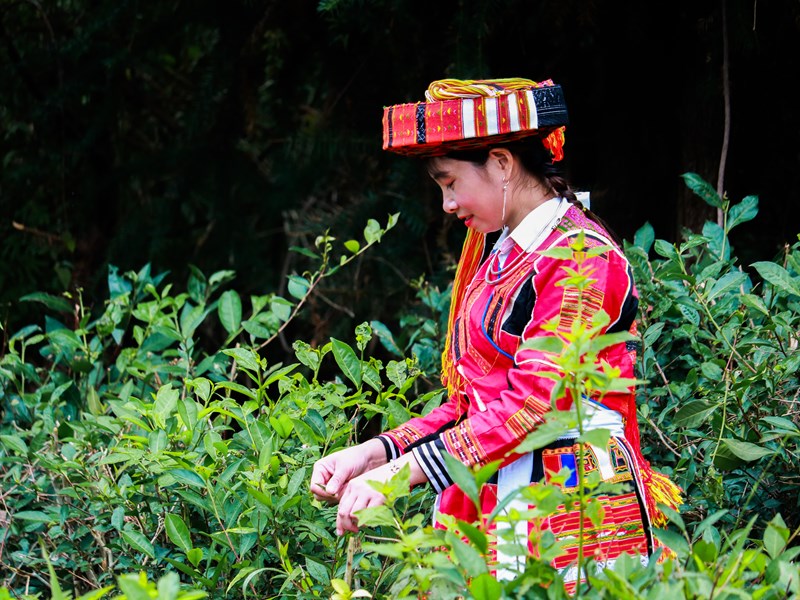 Rực rỡ trang phục phụ nữ Pà Thẻn - Anh 3