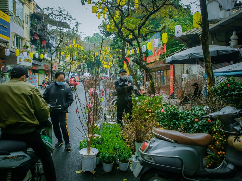 Chợ hoa xuân Hàng Lược vắng khách trong ngày đầu mở bán - Anh 4