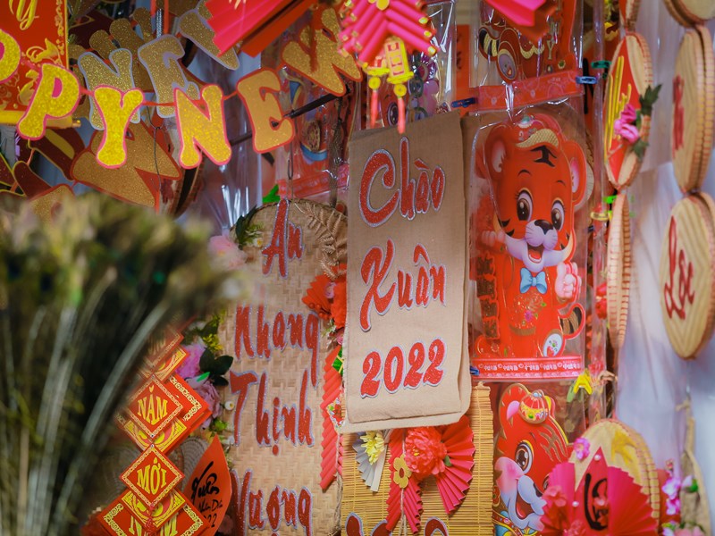 Chợ hoa xuân Hàng Lược vắng khách trong ngày đầu mở bán - Anh 16