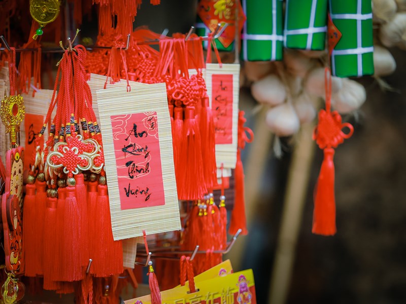Chợ hoa xuân Hàng Lược vắng khách trong ngày đầu mở bán - Anh 14