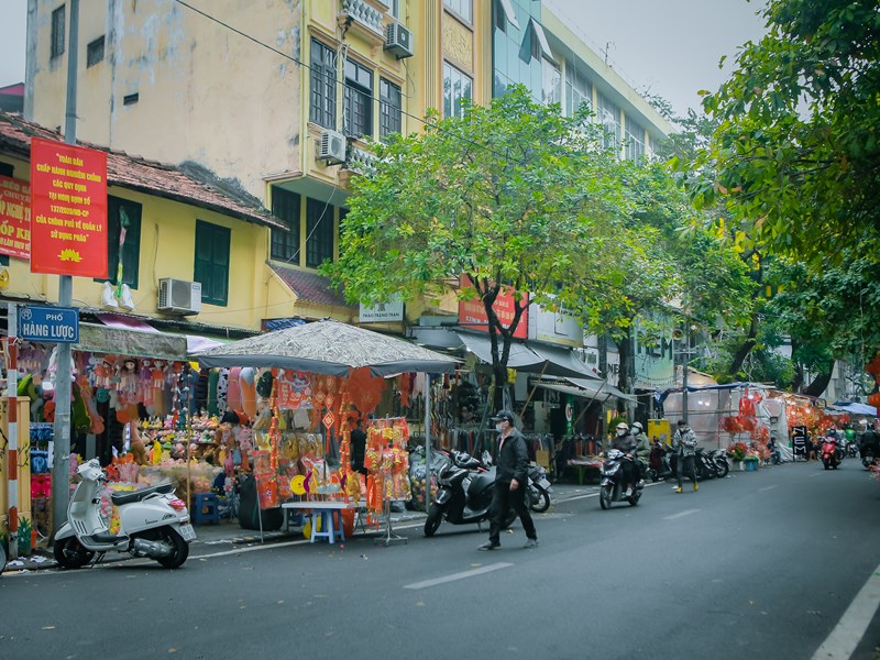 Chợ hoa xuân Hàng Lược vắng khách trong ngày đầu mở bán - Anh 1