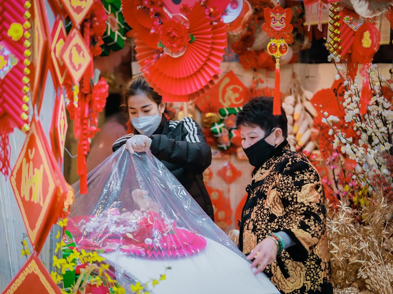 Chợ hoa xuân Hàng Lược vắng khách trong ngày đầu mở bán - Anh 7