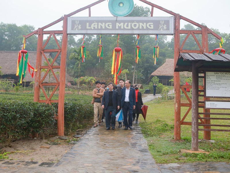 Sẵn sàng tổ chức