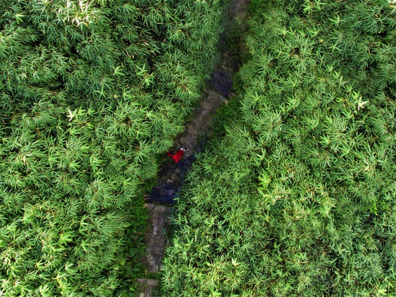 Quảng Ninh đặt mục tiêu đón 1,5 triệu lượt khách quốc tế - Anh 4