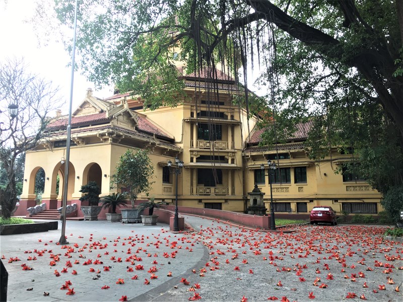 Ngắm hoa gạo tháng 3 ở Hà Nội - Anh 1