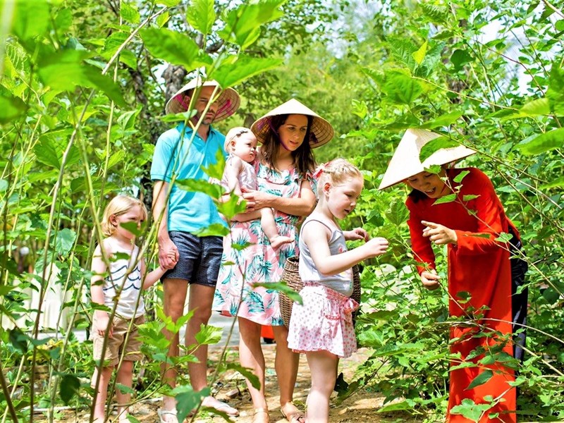 Sốt ruột chờ thông tin mới về miễn visa và cách ly với khách du lịch quốc tế - Anh 1