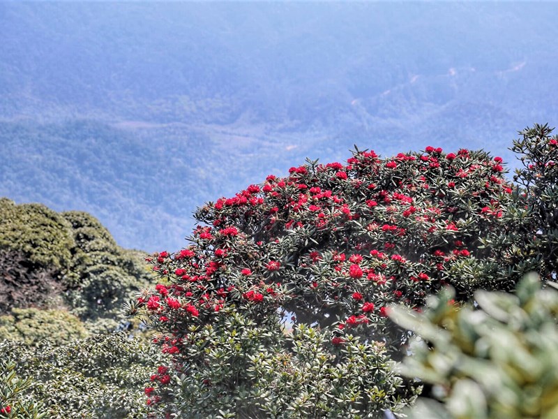 Sức hút Bắc miền Trung-miền đất nhiều trải nghiệm mới - Anh 4