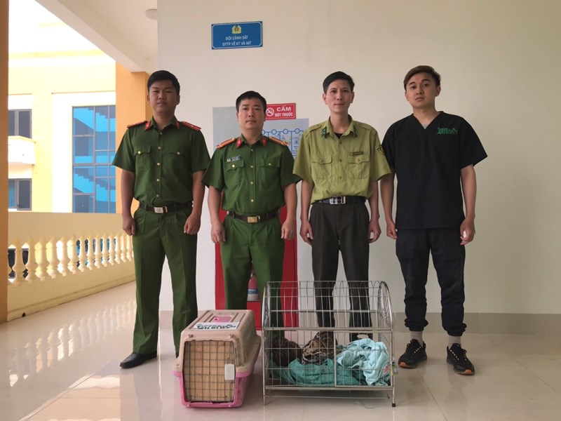 Cứu hộ một gia đình mèo rừng bị người dân nuôi nhốt trái phép - Anh 3