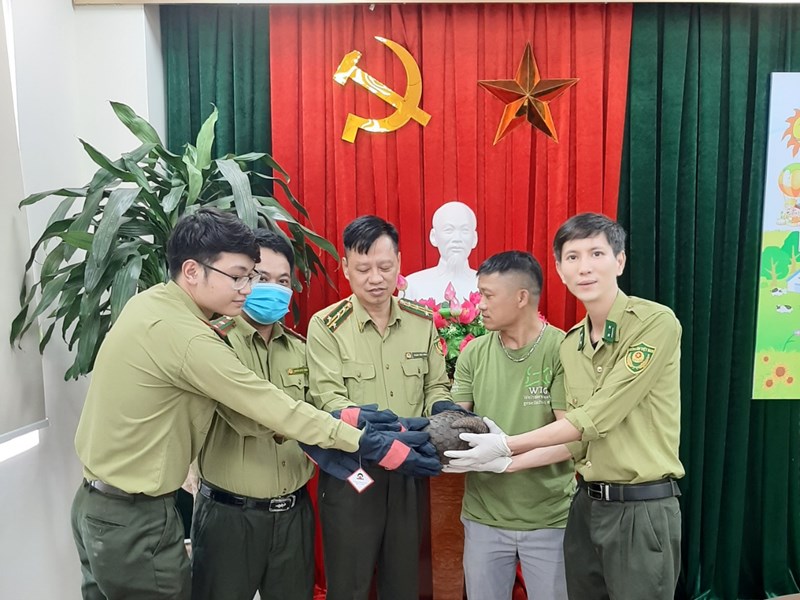 Ninh Bình: Cứu hộ thành công 2 cá thể động vật hoang dã quý hiếm - Anh 1