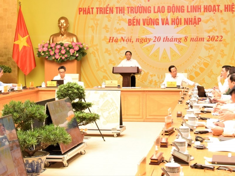 Thủ tướng đề ra 9 phương hướng, nhiệm vụ, giải pháp phát triển thị trường lao động - Anh 1
