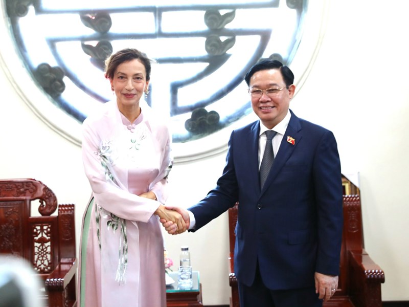 Ưu tiên nguồn lực, bảo tồn và phát huy có hiệu quả các di sản văn hoá, thiên nhiên thế giới - Anh 1