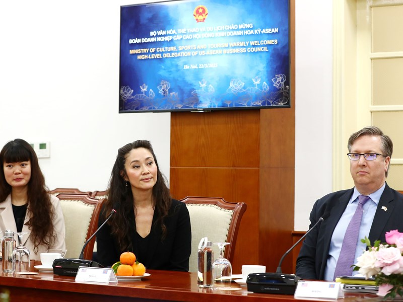 Việt Nam và Hội đồng Kinh doanh Hoa Kỳ - ASEAN: Tăng cường quan hệ hợp tác VHTTDL - Anh 5