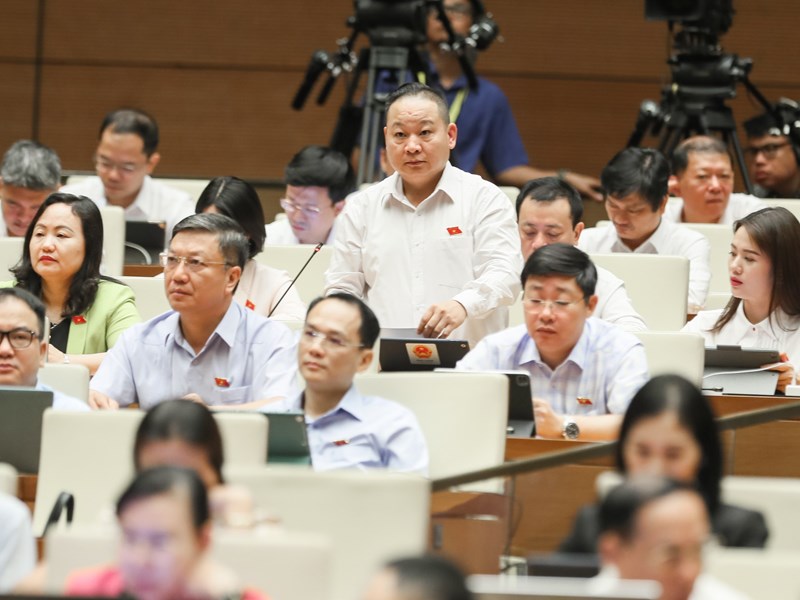 Quốc hội chất vấn nhóm vấn đề thuộc lĩnh vực lao động, thương binh và xã hội - Anh 4