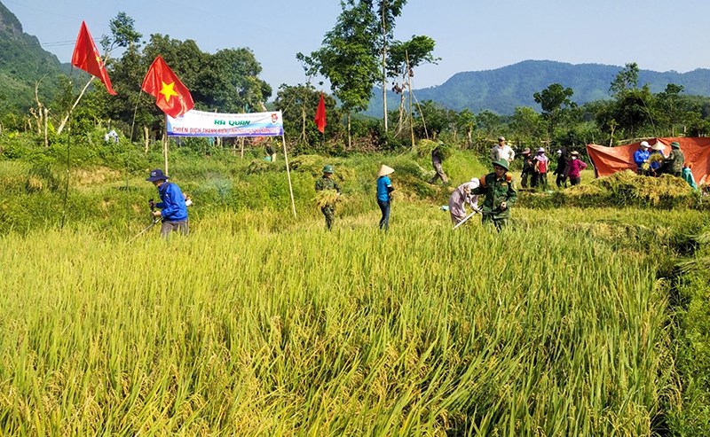 Mùa “no ấm” trên dãy Trường Sơn - Anh 2