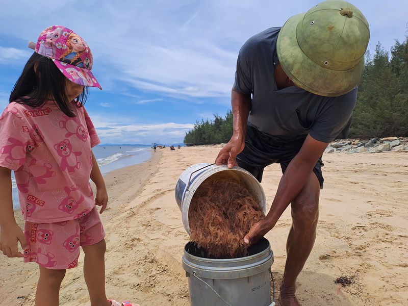Ngư dân bãi ngang Quảng Bình hồ hởi đi xúc ruốc biển - Anh 4