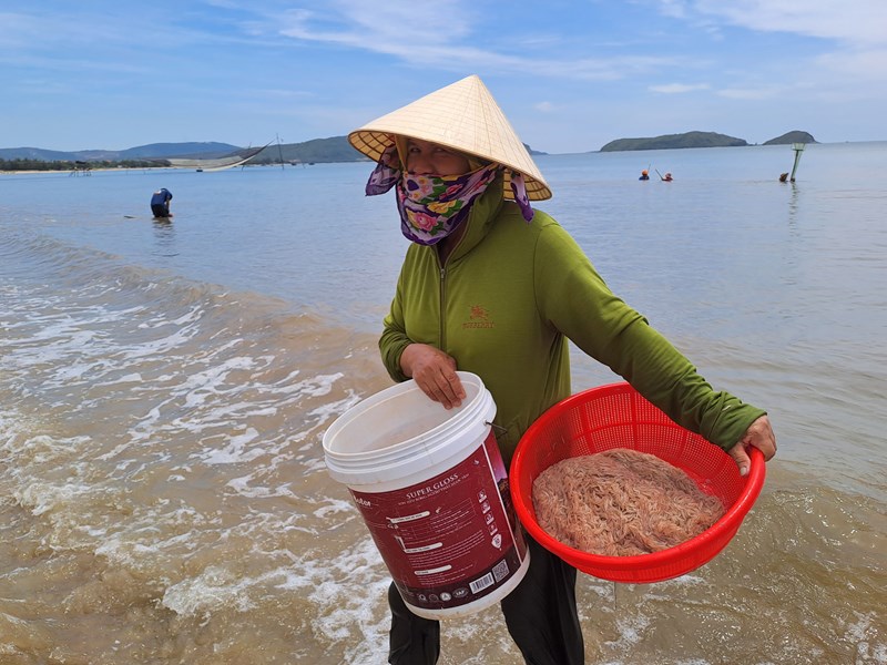 Ngư dân bãi ngang Quảng Bình hồ hởi đi xúc ruốc biển - Anh 5