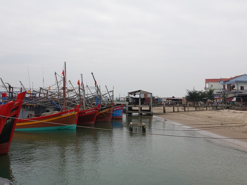 Ngư dân Nguyễn Ngọc Cảnh vượt khó bám biển làm giàu - Anh 3