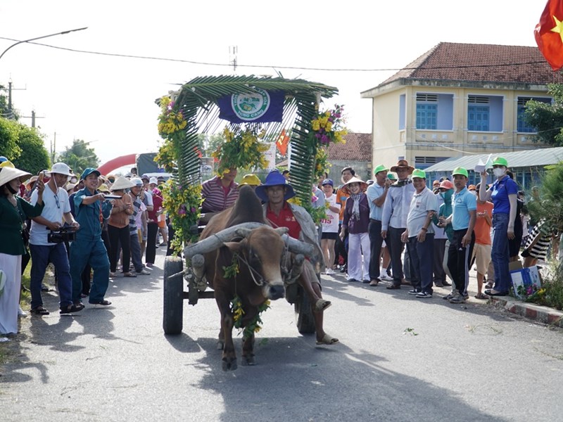 Khánh Hòa: Sôi nổi Hội thi đua xe bò - Anh 1