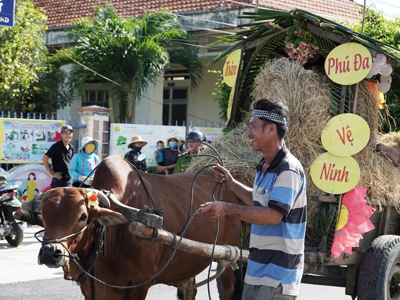 Khánh Hòa: Sôi nổi Hội thi đua xe bò - Anh 2