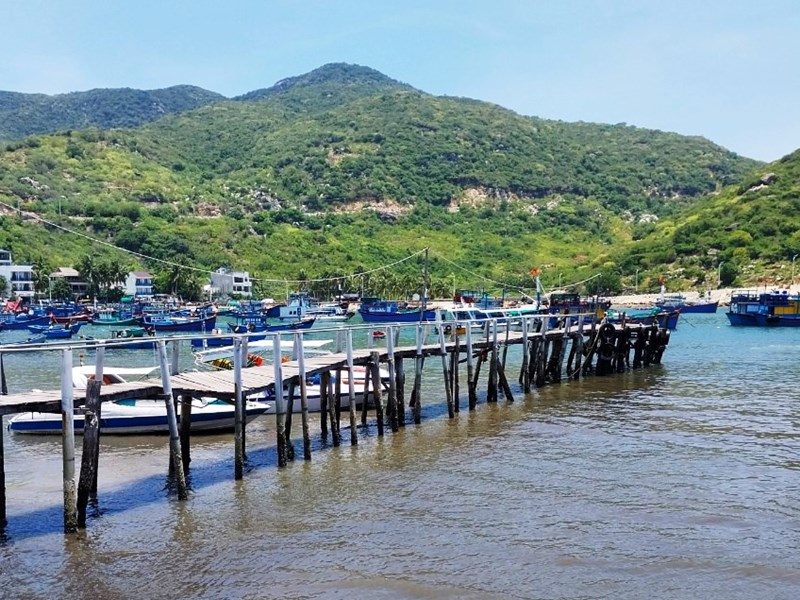 Chỉ đạo điều tra vụ tai nạn trên biển Vĩnh Hy khiến sáu du khách nhập viện - Anh 1