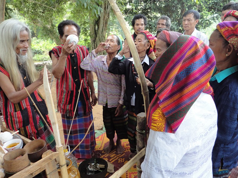 Lễ hội trỉa lúa của người Bru-Vân Kiều giữa đại ngàn - Anh 3