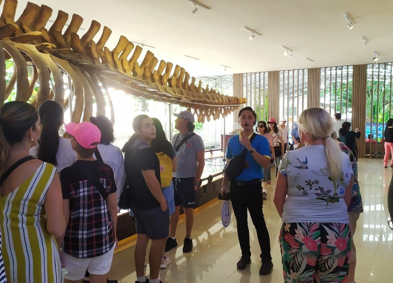 Siêu du thuyền Spectrum of the Seas cập cảng Nha Trang - Anh 2