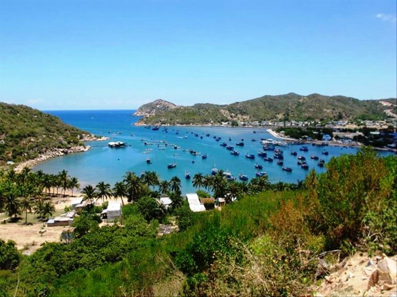 Ninh Thuận: Chuyển gần 12 héc –ta rừng đặc dụng xây dựng khu nghỉ dưỡng trong  VQG Núi Chúa - Anh 2