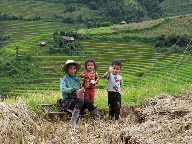 Sắc vàng ruộng bậc thang ở Mù Cang Chải - Anh 7