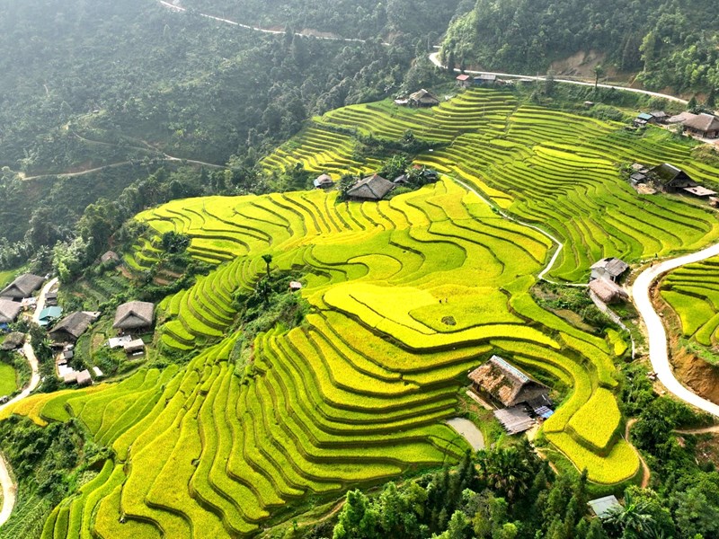Trải nghiệm Hà Giang mùa lúa chín - Anh 4