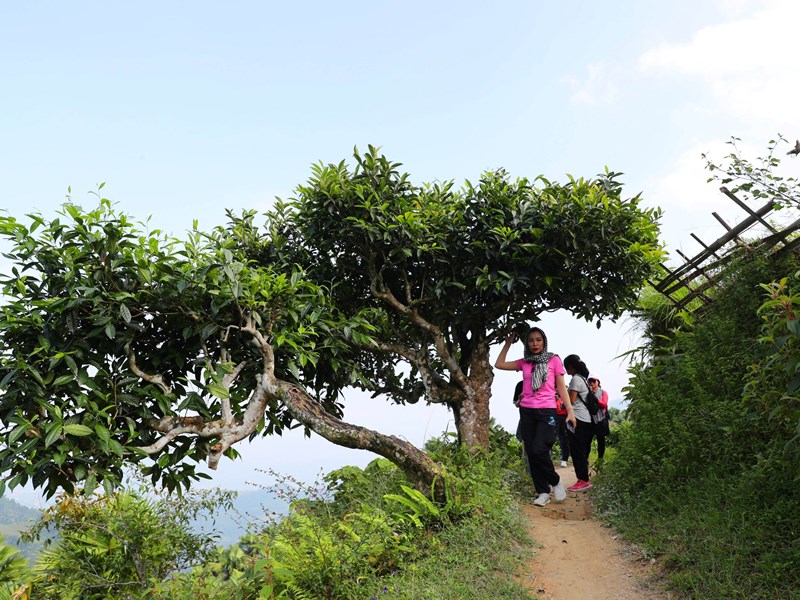 Trải nghiệm Hà Giang mùa lúa chín - Anh 5