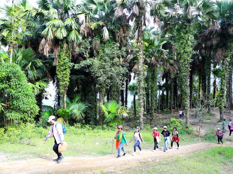 Trải nghiệm Hà Giang mùa lúa chín - Anh 7