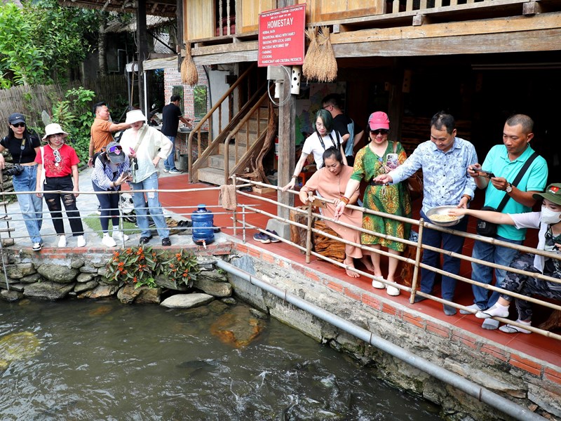 Trải nghiệm Hà Giang mùa lúa chín - Anh 12