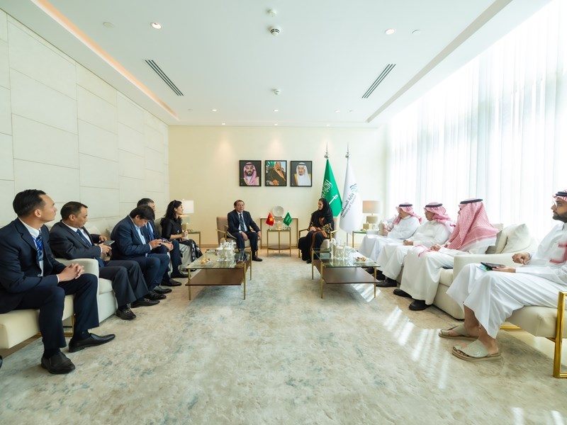 Việt Nam - Saudi Arabia: Đột phá hợp tác về du lịch - Anh 3