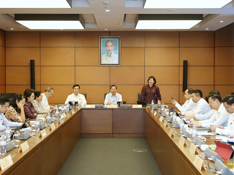 Đại biểu Quốc hội: Cần chú trọng đầu tư phát triển văn hóa - Anh 1