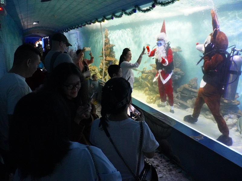 Khánh Hòa: Đông đảo du khách hào hứng chiêm ngưỡng ông già Noel bơi lượn cùng đàn cá - Anh 1